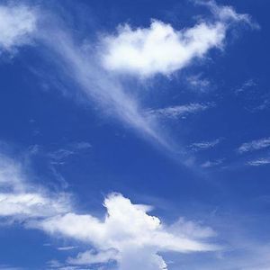 Meet your Posher, Judy